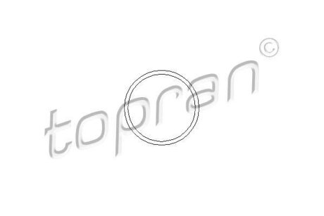 Прокладка насоса (89.5x3 мм) Opel 1.6D-2.2 81-01 TOPRAN / HANS PRIES 202 290