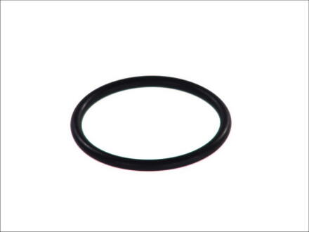Прокладка термостата (48.5x56.5x4) Opel Astra F/G Omega B Vectra B 1.6-2.0 91-02 TOPRAN / HANS PRIES 202 326