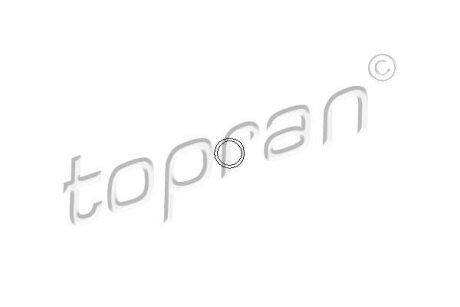Прокладка болта крышки головки цилиндров TOPRAN / HANS PRIES 206 528
