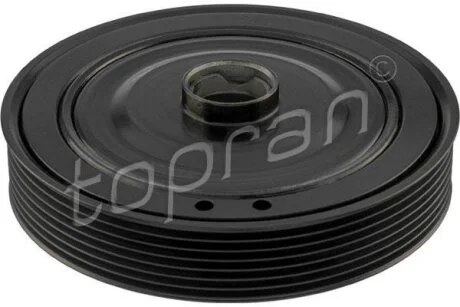 Амортизатор, поликлиновой ремень TOPRAN / HANS PRIES 700 789
