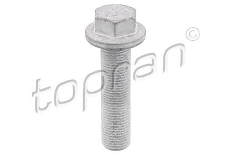 Болт шкива RENAULT SCENIC II 1.6D/2.0D/2.3D 08.05- TOPRAN / HANS PRIES 701 617