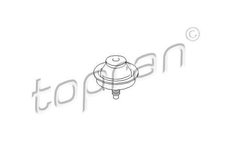 Подушка двигуна TOPRAN / HANS PRIES 720 471