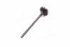 Клапана выпускной двигателя Camry 30 40 Previa Rav 4 Solara Avensis TOYOTA 1371528010 (фото 4)