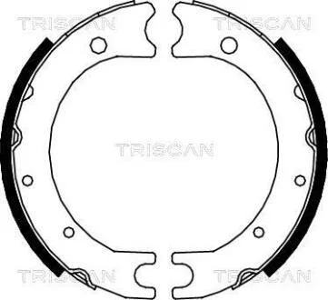 Комплект тормозных колодок, стояночная тормозная система TRISCAN 810013036