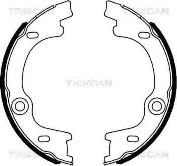Комплект гальмівних колодок, стоянкове гальмо TRISCAN 8100 18010