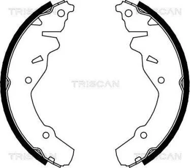 Комплект гальмівних колодок TRISCAN 810080002