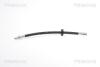 Шланг гальмівний зад. Ford Mondeo 10/00- L300mm TRISCAN 815016234 (фото 1)