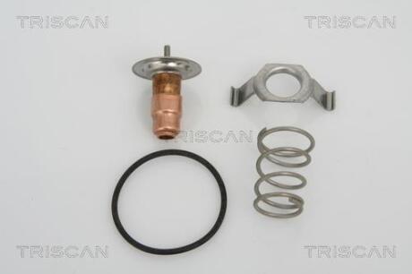 Термостат TRISCAN 862013487