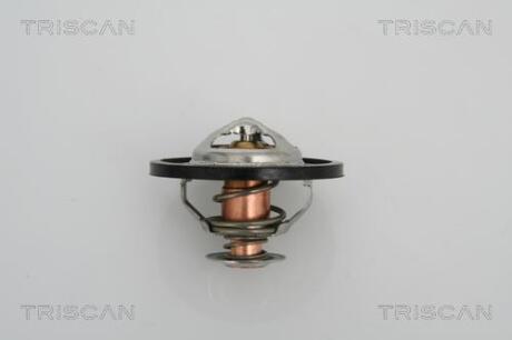 Термостат TRISCAN 8620 13591