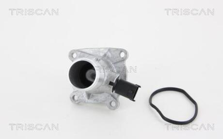 Термостат TRISCAN 8620259105