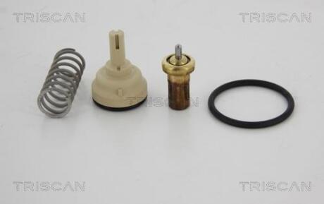Термостат TRISCAN 862040080