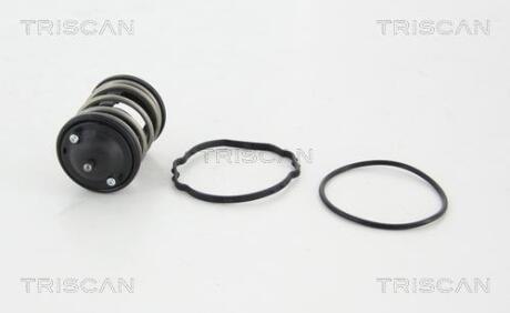 Термостат TRISCAN 862043287