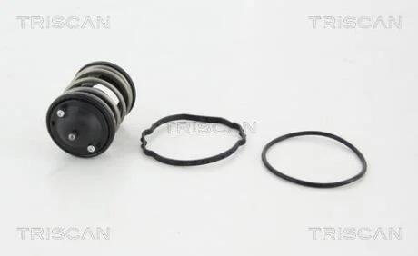 Термостат TRISCAN 862043287