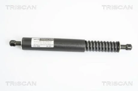 Амортизатор багажника правий/лівий (2 050 Н) VW Touareg 10/02-5/10 TRISCAN 871029264
