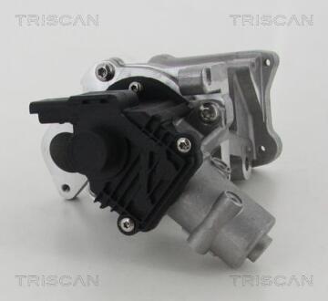 Клапан EGR TRISCAN 8813 10007