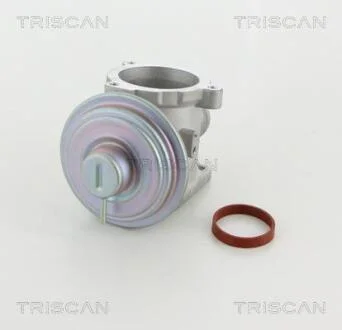 Клапан EGR TRISCAN 8813 11003