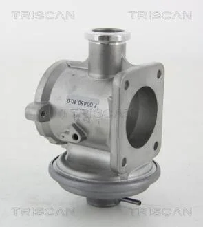 Клапан EGR TRISCAN 8813 11105