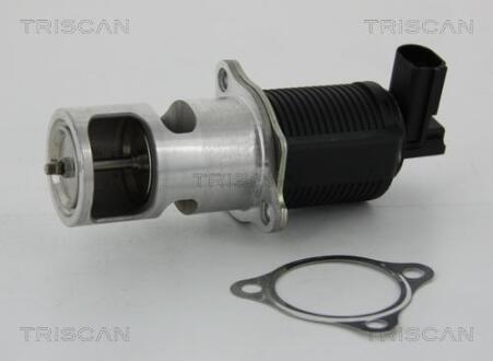 Клапан EGR TRISCAN 8813 24055