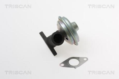 Клапан EGR TRISCAN 8813 28017