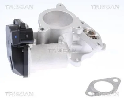 Клапан EGR Audi A4 (8EC), A6 (4F2) 2.0 TDI /16V 04- TRISCAN 8813 29019