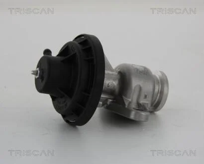 Клапан EGR VW Caddy III, Golf V 2.0SDI BSD, BDK 01.04- TRISCAN 8813 29034