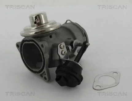 Клапан EGR VAG 1.9Tdi TRISCAN 8813 29036