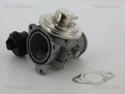 Клапан EGR Ford/VAG 1.9Tdi 00- TRISCAN 8813 29057
