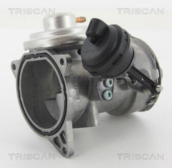 Клапан EGR VAG Touareg 2.5 R5 TDI 03- TRISCAN 8813 29070