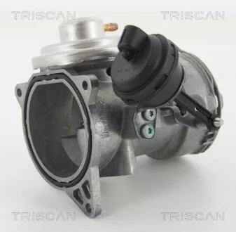 Клапан рецеркуляції відпрацьованих газів TRISCAN 8813 29070