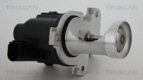 Клапан EGR TRISCAN 8813 29101