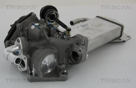 Клапан з радіатором AGR системи EGR VW T5 2.0TDI 09- TRISCAN 8813 29303