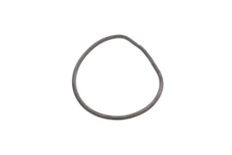 Прокладка колектора впускного TRUCKTEC 02.14.096