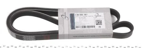 Ремінь поліклиновий TRUCKTEC 02.19.230