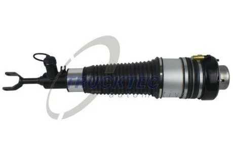 Пневматична амортизаційна стійка TRUCKTEC 07.30.059