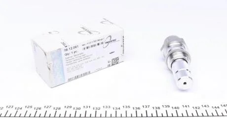 Натягувач ланцюга ГРМ TRUCKTEC 08.12.061