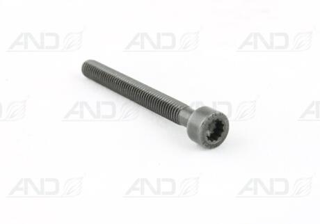 Болт Кріплення форсунки М6x55 VAG 070 103 385A