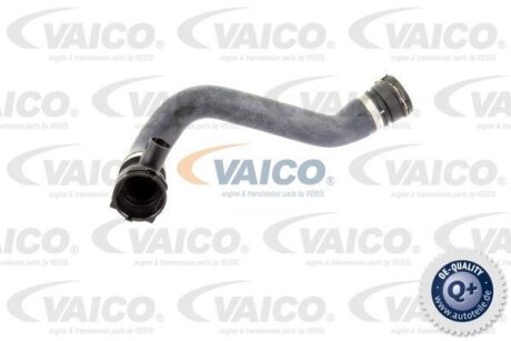 Шланг гумовий сист. охолоджен. VAICO V20-0865