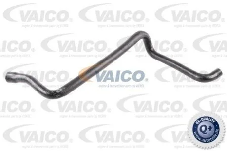 Шланг гумовий сист. охолоджен. VAICO V30-0721