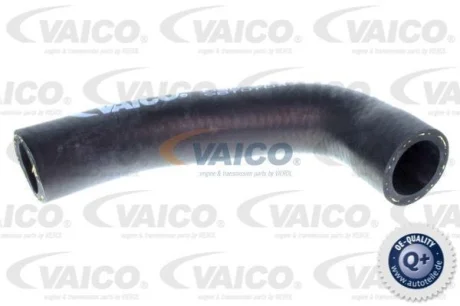 Шланг гумовий сист. охолоджен. VAICO V30-3140
