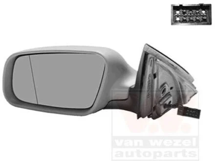 Наружное зеркало Van Wezel 0317807