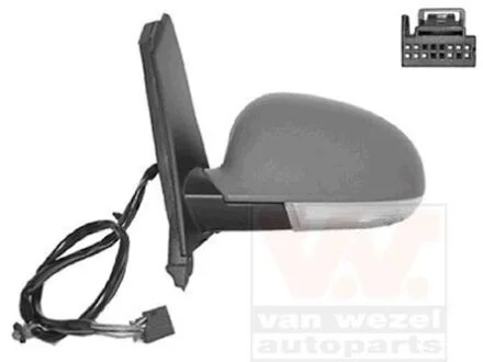 Наружное зеркало Van Wezel 5895807