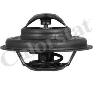 CITROEN Термостат Xantia 2.1 TD,XM,Peugeot 406 Vernet TH4640.85J