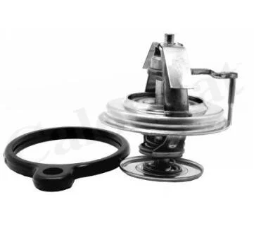 Термостат системи охолодження Vernet TH7163.84J