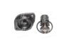 Термостат AUDI, SEAT, VW (старий номер TH9274.87J,) Vernet THK62741087J (фото 1)