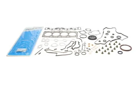 Комплект прокладок з різних матеріалів VICTOR REINZ 01-10004-01