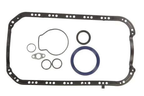 Набір прокладок двигуна нижній VICTOR REINZ 08-53794-01