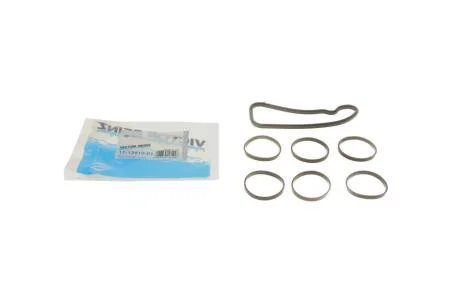 Прокладка випускного колектора VICTOR REINZ 11-12910-01