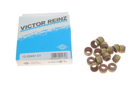 Комплект сальників клапанів VICTOR REINZ 12-29491-01