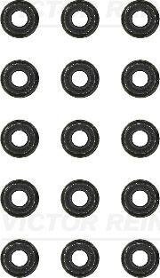 Колпачки м.с. VAG A4/A6/A8/PASSAT 97-06 2.4/2.7T/2.8/3.0 (компл. 15 шт.) VICTOR REINZ 12-31306-10
