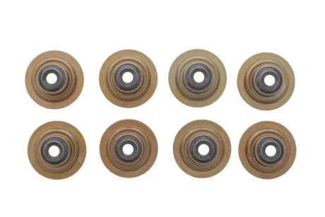 Сальники клапанов VICTOR REINZ 12-35493-01